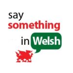 say something in welsh